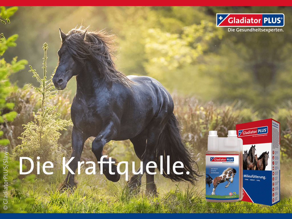 GladiatorpPlus Energiequelle